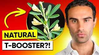 New TONGKAT ALI!? (Testosterone Booster You Haven't Heard Of)