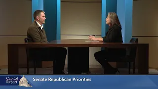 Senate Republican Priorities / House DFL Priorities