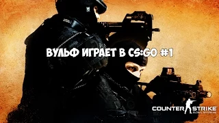 Вульф играет в CS:GO #1