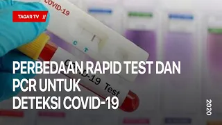 Perbedaan Rapid Test dan PCR untuk Deteksi Covid-19 | Tagar