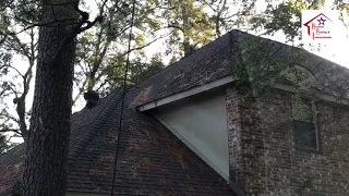 Learn how squirrels can destroy your House Roof!