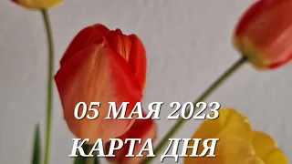 05 мая 2023 | карта дня | все знаки зодиака 🃏🍀💫