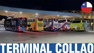 Terminales y Rodoviarios #14 | Movimiento de Buses en Terminal Collao - Concepción