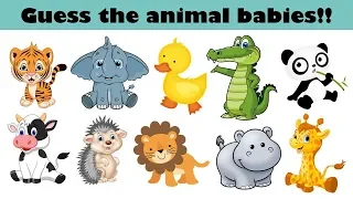 Animal Babies - Part 2 | GK Questions | Fun Quiz