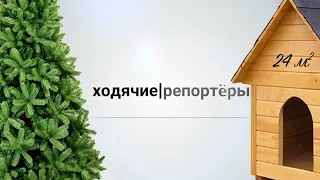 12.06.2019 Ходячие репортёры (выпуск 3)