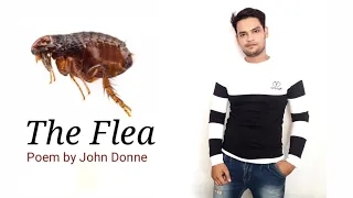 The Flea : Poem by John Donne in Hindi