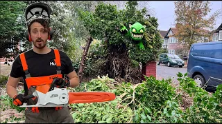 Removal Of Tree KILLED Off By Ivy | Battery Stihl Chainsaw Doing The Business