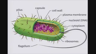 CPU : université d'été 2018 - Les évolutions de la biologie (Partie 2)