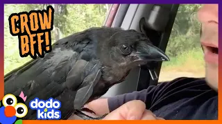 How Do You Become Friends With A Crow? | Dodo Kids | Happy Halloween