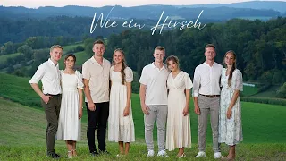 Wie ein Hirsch