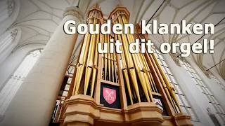 One of the most joyful organ sounds from an organ