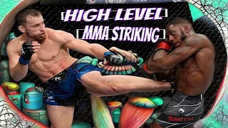 Ludovit Klein Vs Devonte Smith: High-level Mma Striking