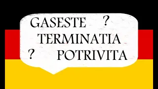 Invata Germana | Gaseste TERMINATIA POTRIVITA | Exercitiu