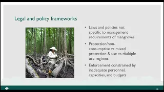 Webinar: Mangrove Forest Restoration and Management: Social & Governance Dimensions