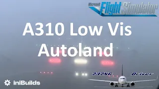 A310 Autoland Demo | Real Airline Pilot