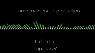 Papapaow - Tabata Workout Music With Great Progression - 120 bpm With Coach