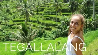 MAGICAL 🌿 Tegallalang Rice Terraces - UBUD/BALI