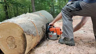 Stihl 044 in action .