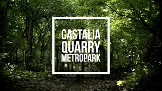 Castalia Quarry MetroPark