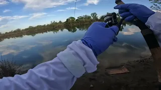 Feather River Striper Fishing 4/20/2024