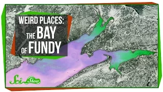 Weird Places: The Bay of Fundy