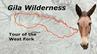 Gila Wilderness: tour of the West Fork and other places