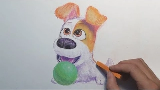 The Secret Life Of Pets Drawing - Puppy Max