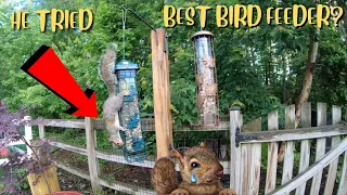 Brome  Brome 200 Squirrel-Proof Wild Bird Feeder with 6 Feeding Ports full review!!!