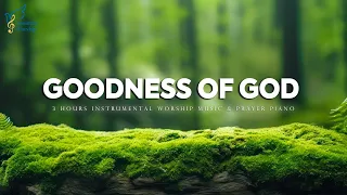 Goodness of God: 3 Hour Prayer & Meditation Music & Scriptures | Anointed Worship