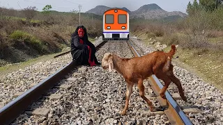 Shaitan Vs boy | Train Vs Goat | Attock tv new video