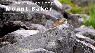 Chain Lakes Loop at Mount Baker - Washington, USA