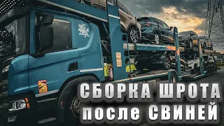 СБОРКА ШРОТА ! Машины после СВИНЕЙ! Дальнобой