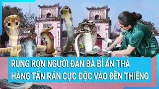 Rùng rợn người đàn bà bí ẩn thả hàng tấn rắn cực độc vào đền thiêng