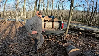 Roadside Logging creating an access point ready for the big White Oak