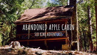 Abandoned Log Cabin in Mendocino National Forest