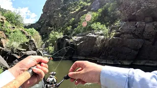 Native trout fishing with spinner lure / Կարմրախայտի որս փայլախայծով