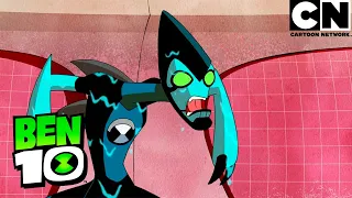 O Encontro Inesperado | Ben 10 em Português Brasil | Cartoon Network