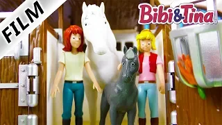 BIBI & TINA Sabrinas Fohlen Film deutsch | Trächtiges Pferd auf dem Martinshof | Fohlen Geburt Craze