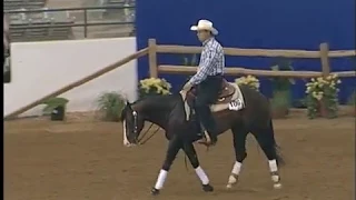 Marco Formentin and Spooks Gotta Run- 2012 NRBC Prelims