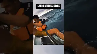 Shark Attacks Kayak! 🦈