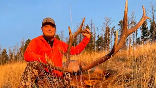 2 PUBLIC LAND BULLS DOWN l 2023 Rifle Elk Hunting Montana