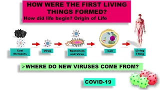 Where Do New Viruses Come From | How life started on earth