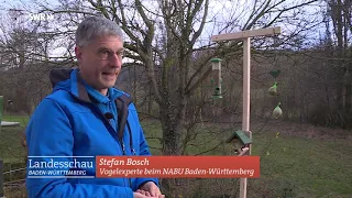 Vögel brauchen einen "wilden" Garten