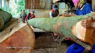 Longest Wood Beam Processed Sawmill With God Skill...