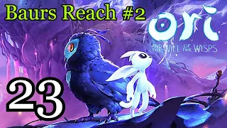 Ori and the Will of the Wisps Part 23 - Baurs Reach #2