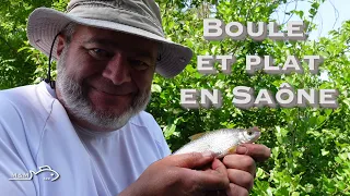 Pêche en RIVIERE Saône au FLOTTEUR PLAT et BOULE pour des GARDONS  et BREMES