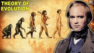 What Happened After Theory of Evolution Was Published