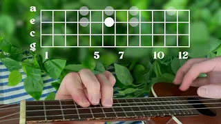 How to Rick Roll your friends on the ukulele