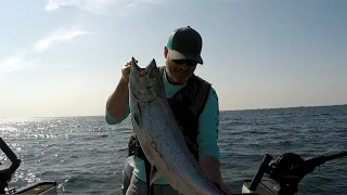 SOLO SMALL BOAT SALMON TACTICS, Lake Ontario