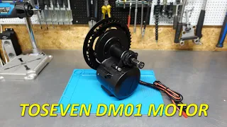 ToSeven DM01 motor review